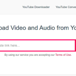 Online YouTube Video Downloader